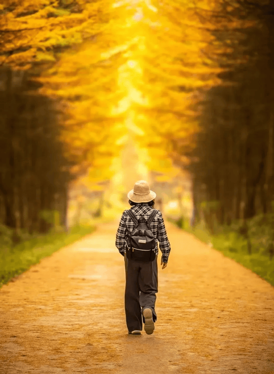 rH7fbat9KHo6MUm's tweet photo. Growth isn’t about outrunning the past—it’s about carrying the lessons gently, and walking a little lighter each day.， https://t.co/5jHJHULZgP