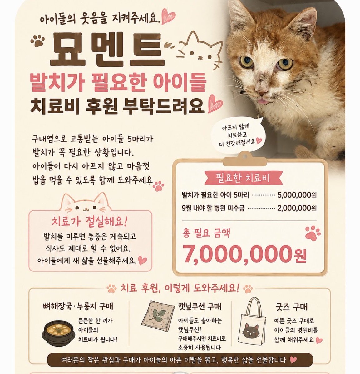 hsn518catcat's tweet photo. 🆘뼈해장국/누룽지 구매 5건😢

몇 달동안 미뤄온 발치수술 9월 초에는 꼭 시켜주고 싶어요.. 아이들이 밥을 못 먹고 있어요..
저는 굶어도 되지만 아이들 조금씩만 도와주시면 밥 편히 먹을 수 있습니다.. 구매로.. 후원으로
아이들 치료비 함께해주세요..

3333 32 6300482 카카오뱅크 ㄴㅎㅅ https://t.co/hlOuAn9ybV