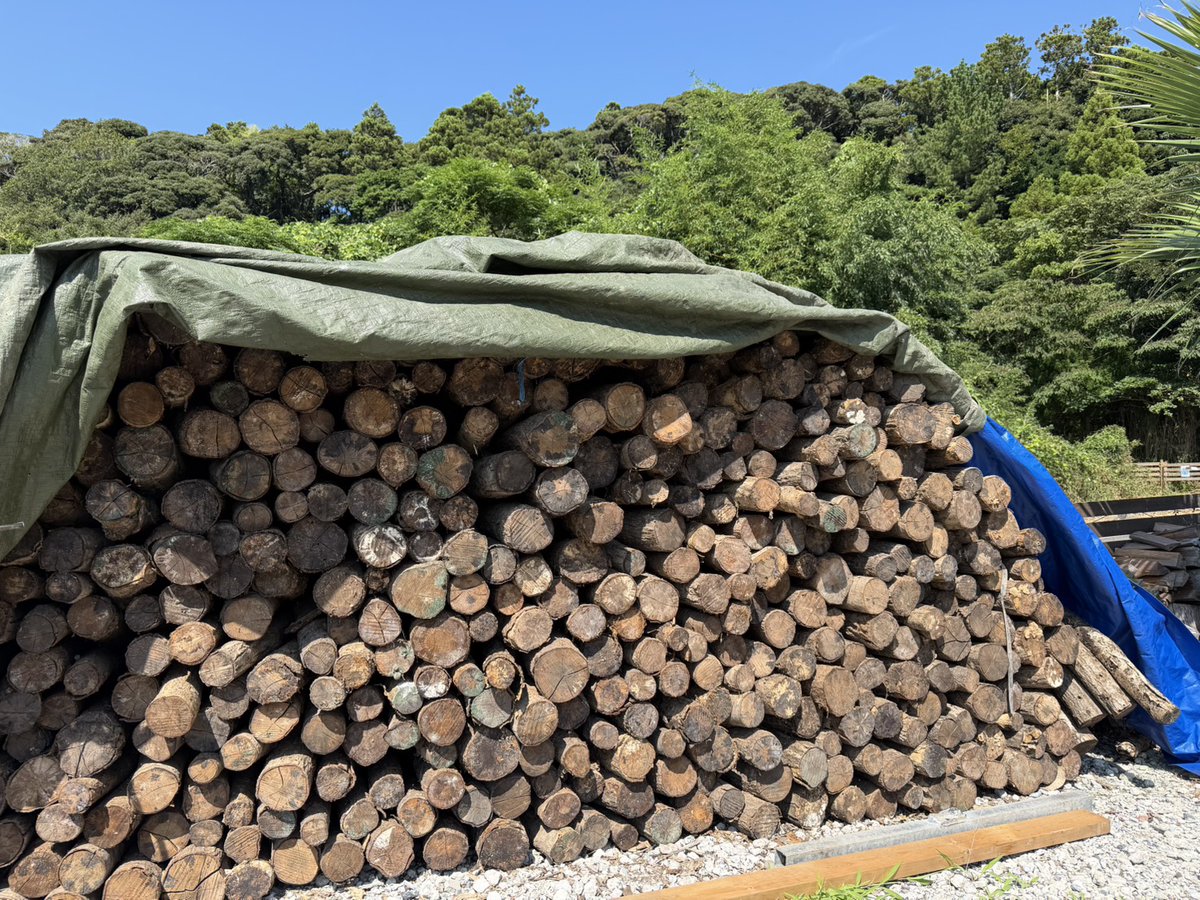 planetcampF's tweet photo. 広葉樹の丸太の在庫が増えすぎました😆

秋から冬の間は特に薪の販売数が増えるので
どんどん薪にしていきます💪

焚火が好きな方は、ぜひ遊びにいらしてください🙌

#キャンプ好きと繋がりたい
#キャンプ場
#薪
#広葉樹
#ソロキャン
#デュオキャン https://t.co/XfSCS3oaLg