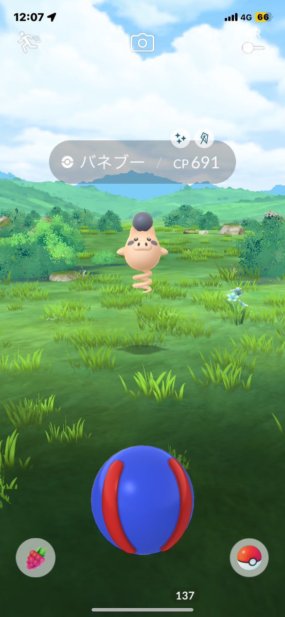 sweelxx's tweet photo. 最近色んなポケモンが光ってくれてマジ幸 https://t.co/0NY8LJ5uDx