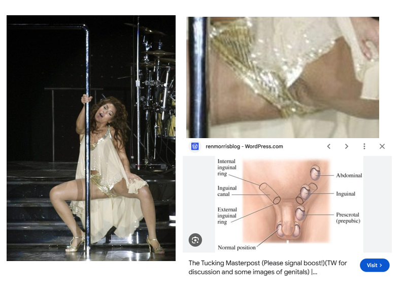 tweedlepinkee's tweet photo. Beyonce crotch shot. A woman's labia doesn't look like that when she opens her legs, but tucked in nuts do.

Source: https://t.co/w0UUVo2HVK https://t.co/qsZ13uyTKg