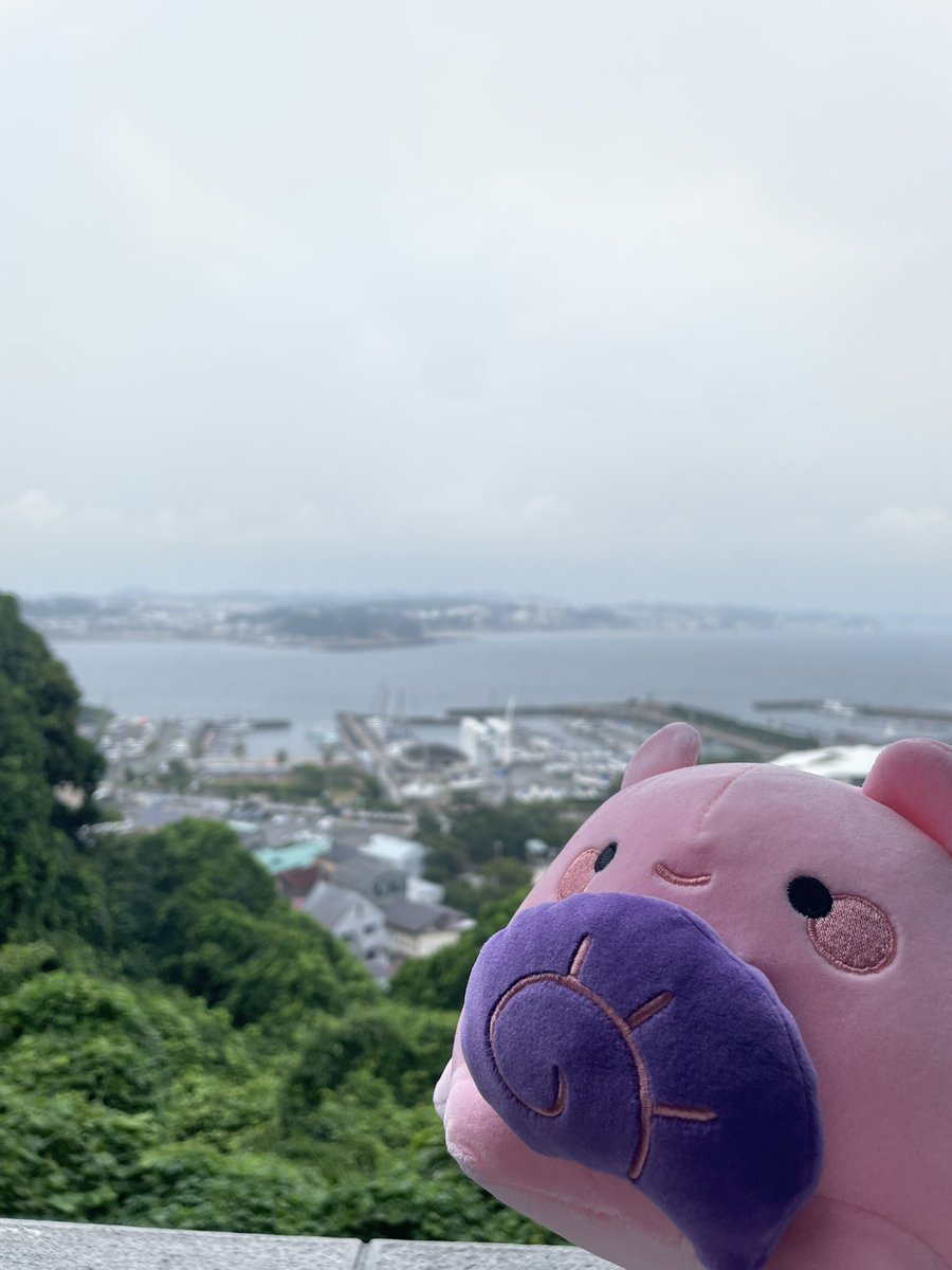 urewbo's tweet photo. 【自己紹介】
文系高二男子
シンハイとフレデリック、曲は「薄っぺらい愛を込めて」と「オンリーワンダー」が好きです
関東圏中心に観光だったりなんだったりしてます https://t.co/cKdI126HMp