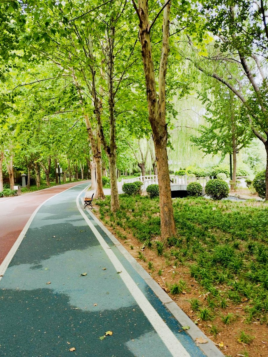 ElizabethAsss's tweet photo. Caminar 30 minutos al día mejora tu circulación, reduce el estrés y cuida tu salud cardiovascular, inclúyelo en tu rutina hoy! https://t.co/ukFYckNzrS