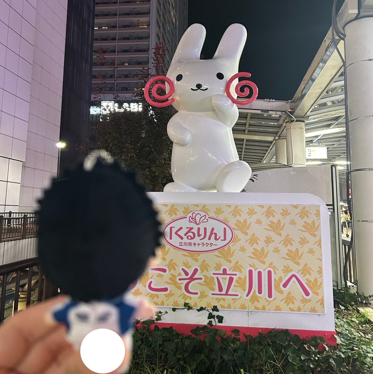 llpxyo's tweet photo. 乾先輩、くるりんだよ
こんばんは、くるりん https://t.co/RauQlLn8IO