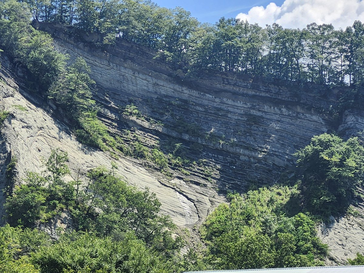 urarogi's tweet photo. 秩父の地層と化石について好奇心を満たしてきた～😊
自然の博物館は凄い昔に来たきりだったけど、展示内容変わってるエリアが広くて新鮮に楽しめました😆✨️ https://t.co/nsIMEdCbkZ