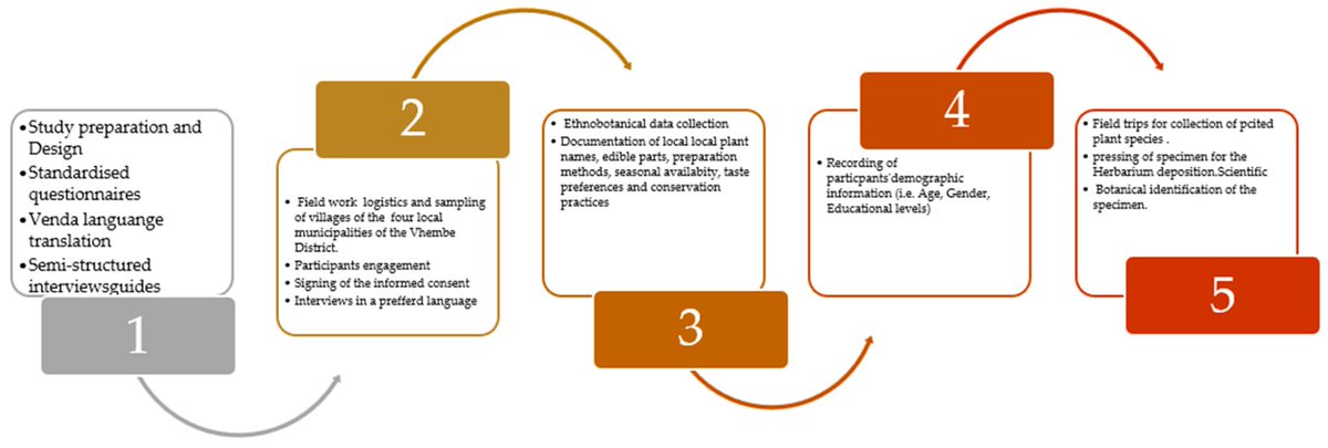 Conservation_OA's tweet photo. 📖Intergenerational Shifts in Ethnobotanical Knowledge of Wild Edible Plants: Why Conservation Matters?
👉https://t.co/jFwm43MqmQ👈
Keywords: #ethnobotany; #foodways; #intergenerationally; #genderedness; #Vhembe
#Conservation_OA https://t.co/ZZ5XvodEJA