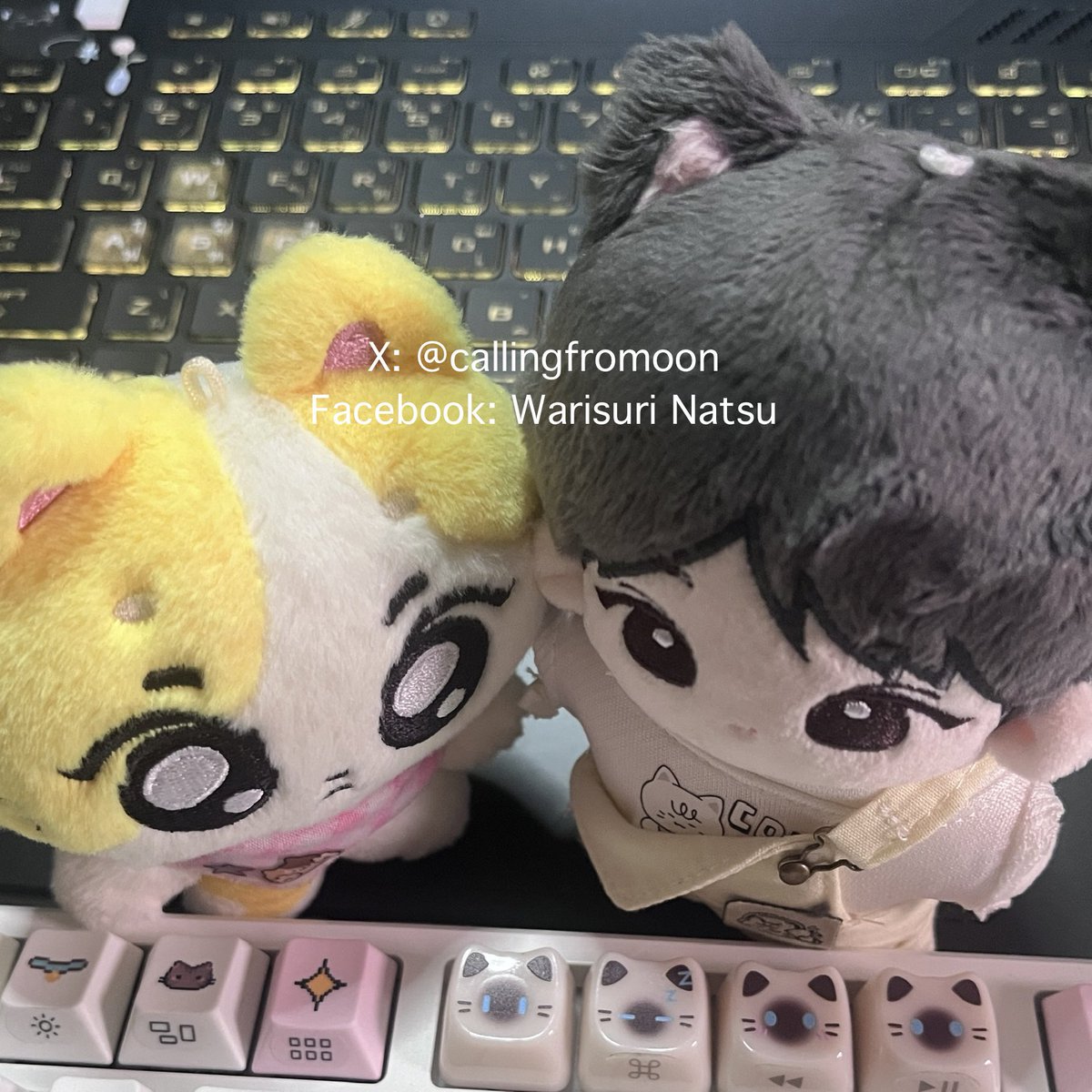 callingfromoon's tweet photo. ปล่อยตุ๊กตาจองวอนค่ะ
ตุ๊กตาJungwon 10 cm.ค่ะ

- 300 บาทค่ะ แกะออกมาแต่งตัวอย่างเดียวค่า มีของแถมจากบ้านที่ผลิตครบคับ (ต้องการรับเสื้อที่น้องใส่อยู่+120 ค่ะ)

สนใจทักได้เลยนะคะ พร้อมโอนลดให้ได้ค่า
 #ตลาดนัดenhypen https://t.co/27ZD28u0LK