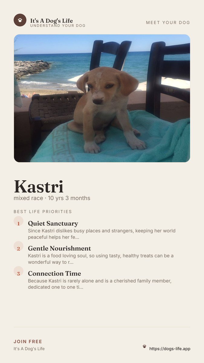 YorksBizFair's tweet photo. 🐶 Got a dog?
Look at this. It's FREE!
Create your dog's profile and see what we can tell you about them.
View here: https://t.co/ltO69wMyEK
#DogOwners #DogLovers #DogLife #DogWellbeing #DogEnrichment #HappyDogs #LifeWithDogs https://t.co/OfNTtR2IVH