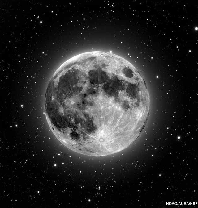 TokyoMoonHQ's tweet photo. 月まで行こう… 📈 #MOONKAMI COIN 🌕

https://t.co/VJM5I7pv9m https://t.co/qQ1QZyuFC3
