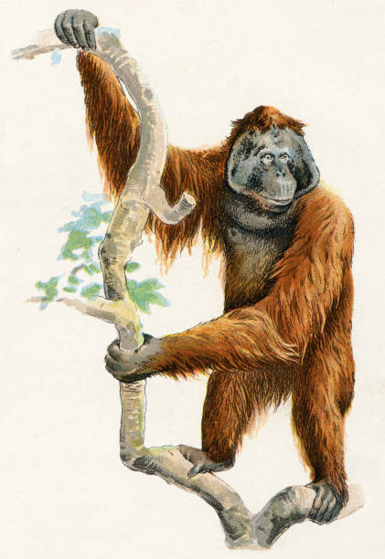 talunpuc's tweet photo. 猫の春満喫🌸🐱 https://t.co/5QLo0tyeTa