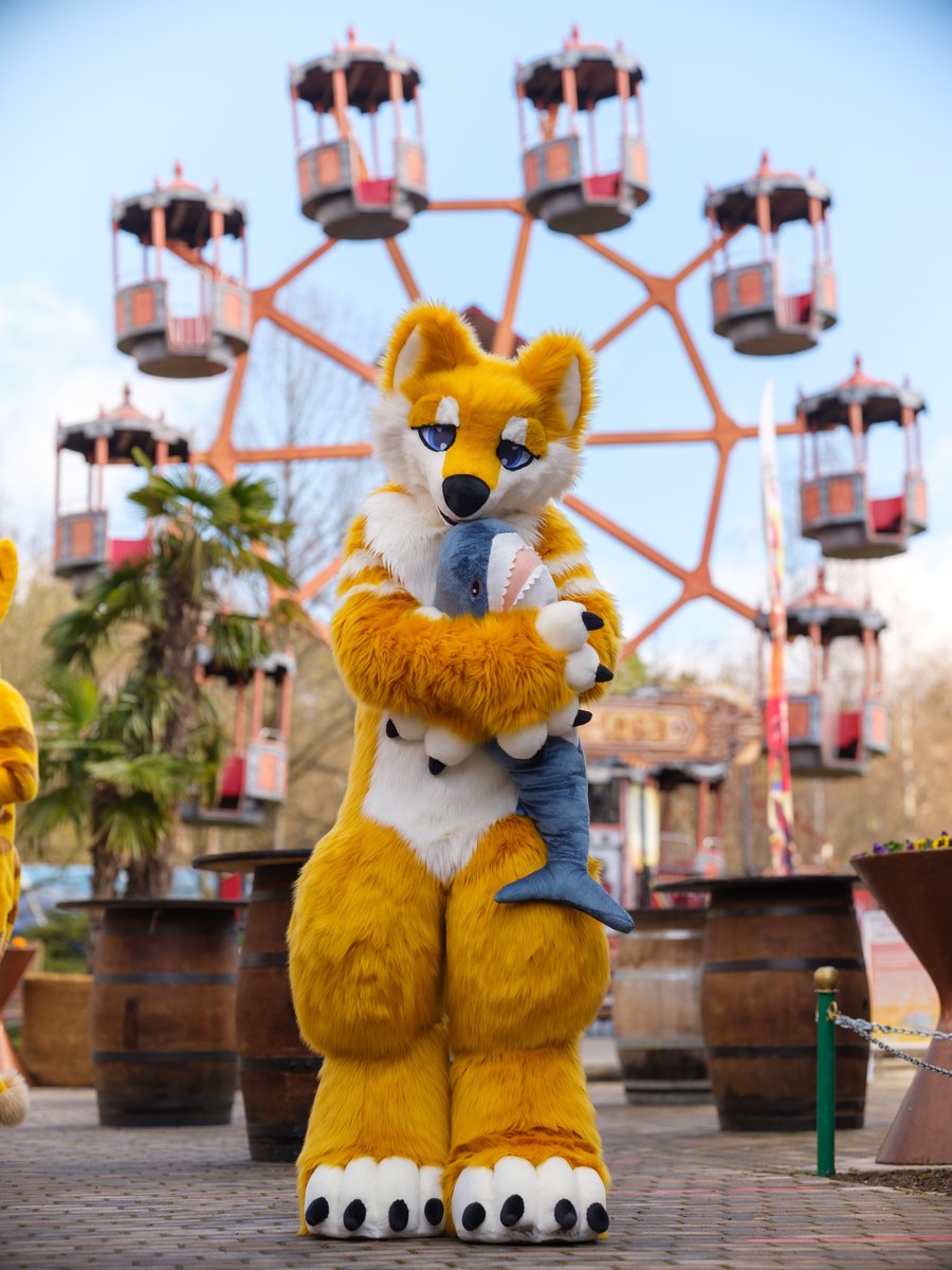themindofurry's tweet photo. I'm so eepey. I like this picture.
#Furry #Geiselwind #fa2p #2pfoten #blahaj #2022 #FursuitMonday
📸 @CaptainChaotika https://t.co/WwHwPV366S