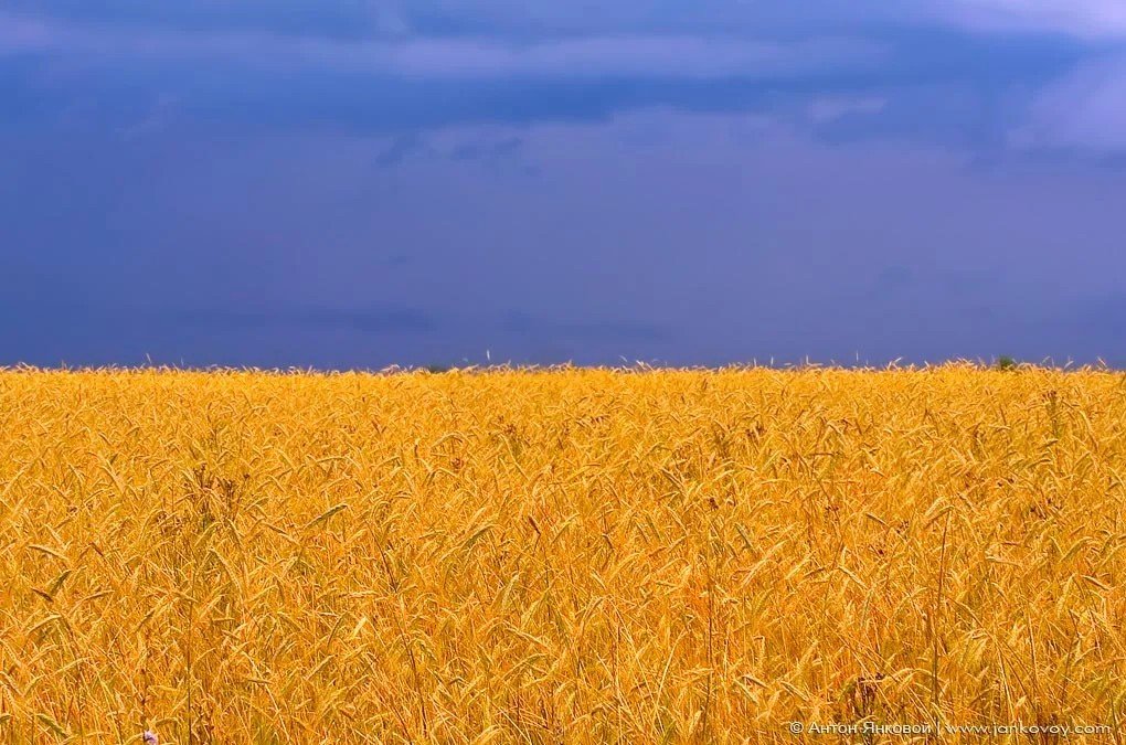 MapleGR86's tweet photo. Слава Україні! https://t.co/NFsVXbqCKU