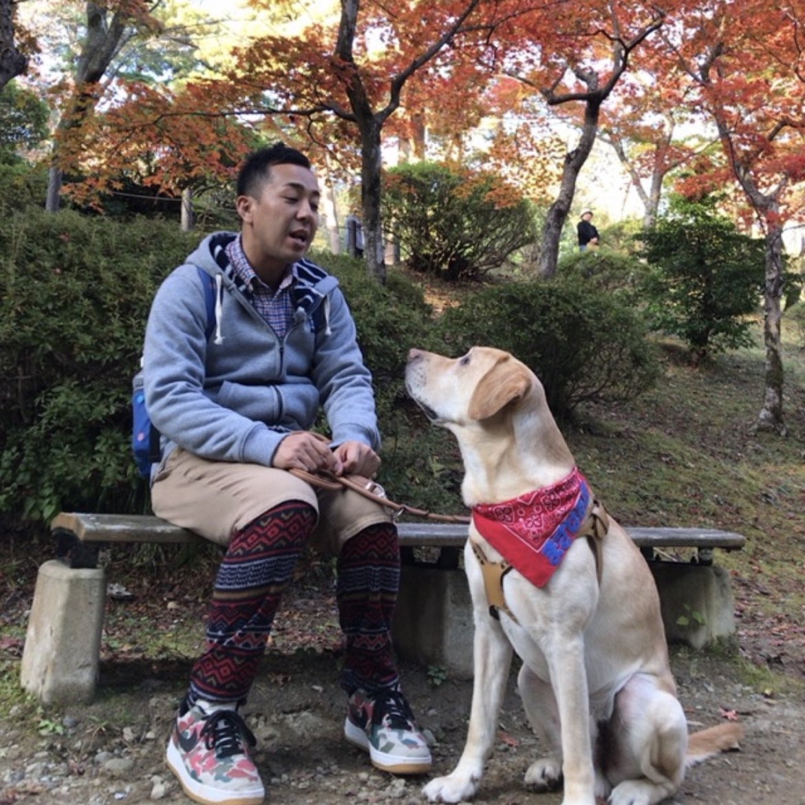 macha_daichi's tweet photo. 【愛犬に話しかけてますか？】

犬は
言葉の意味がわかるわけではありません。

でも、愛犬の顔を見て話すことで
「私は、君をずっと気にしてるよ」
が伝わります。

これを続ける事で愛犬は、
あなたを【信】じて病院へ行き、
困った時にはあなたを【頼】ります。

これを【信頼】と呼びます。 https://t.co/Dvro1u5Ru7