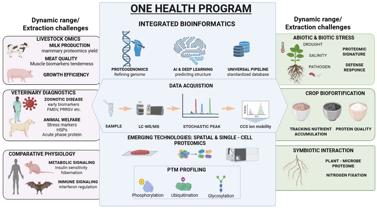 Proteomes_MDPI's tweet photo. This article is now available in Proteomes: A One Health Framework for Proteomics Across the Tree of Life to Advance Food Security, Animal Health, and Ecosystem Resilience
https://t.co/0JlcpQEq0O
#proteomes #proteomics #proteoforms #MassSpec https://t.co/9JZL5Tqkk9