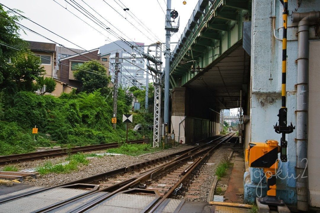 goku2_yoshioka's tweet photo. 緑に囲まれ、高架下へ吸い込まれる線路の奥行き #線路 #高架下 #代々木 #yoyogi #tokyo https://t.co/0ovih50Ckf