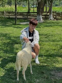 MintaPalecfoe's tweet photo. weight too heavy a sister sun setting and the horizon is pink orange I smile at the love at the children and she’s dead he said he’ll send it tomorrow I’ll wait till tomorrow and then we’ll see will I dream of you again tonight? https://t.co/8linpKfs6V