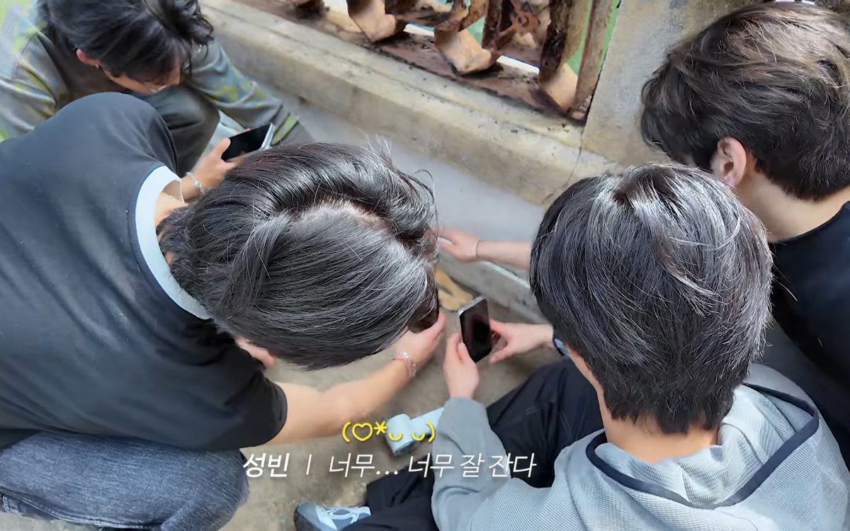 sunnnnn647's tweet photo. 문짝만한 남자들 고양이만지느라정신팔림 

웃겨… https://t.co/m1XIy1vYja