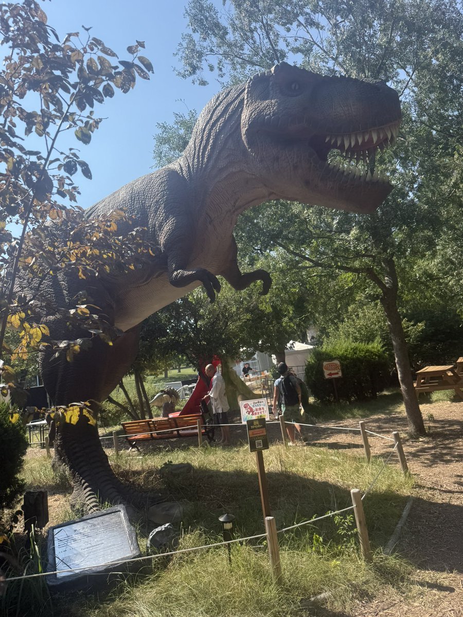 Siya_113's tweet photo. 今日は息子と父と���と恐竜のイベントに行ってきました🦖
めちゃくちゃ暑かった🥵
子供夏休みもぉすぐ終わるので少しは楽しんでもらえたかなと思います(‘､3_ヽ)_ https://t.co/9YxDQQTTse