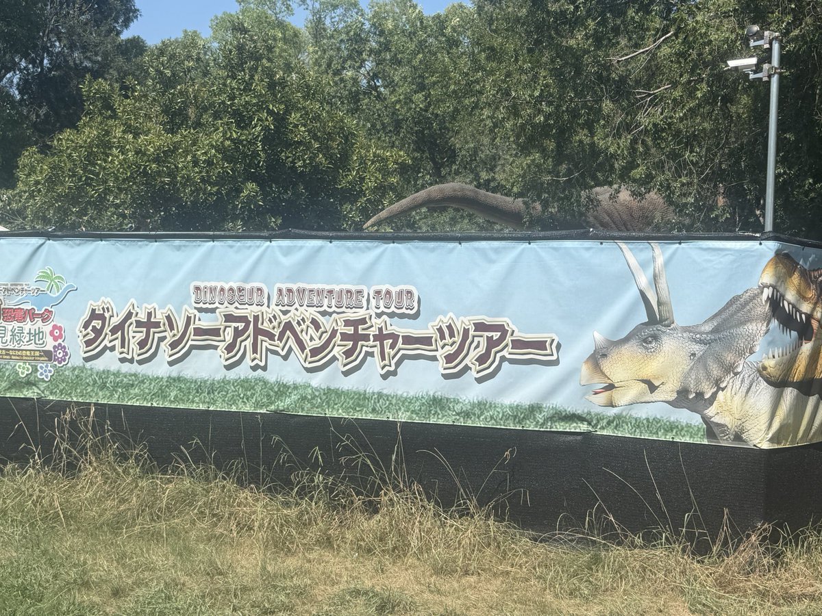 Siya_113's tweet photo. 今日は息子と父と���と恐竜のイベントに行ってきました🦖
めちゃくちゃ暑かった🥵
子供夏休みもぉすぐ終わるので少しは楽しんでもらえたかなと思います(‘､3_ヽ)_ https://t.co/9YxDQQTTse