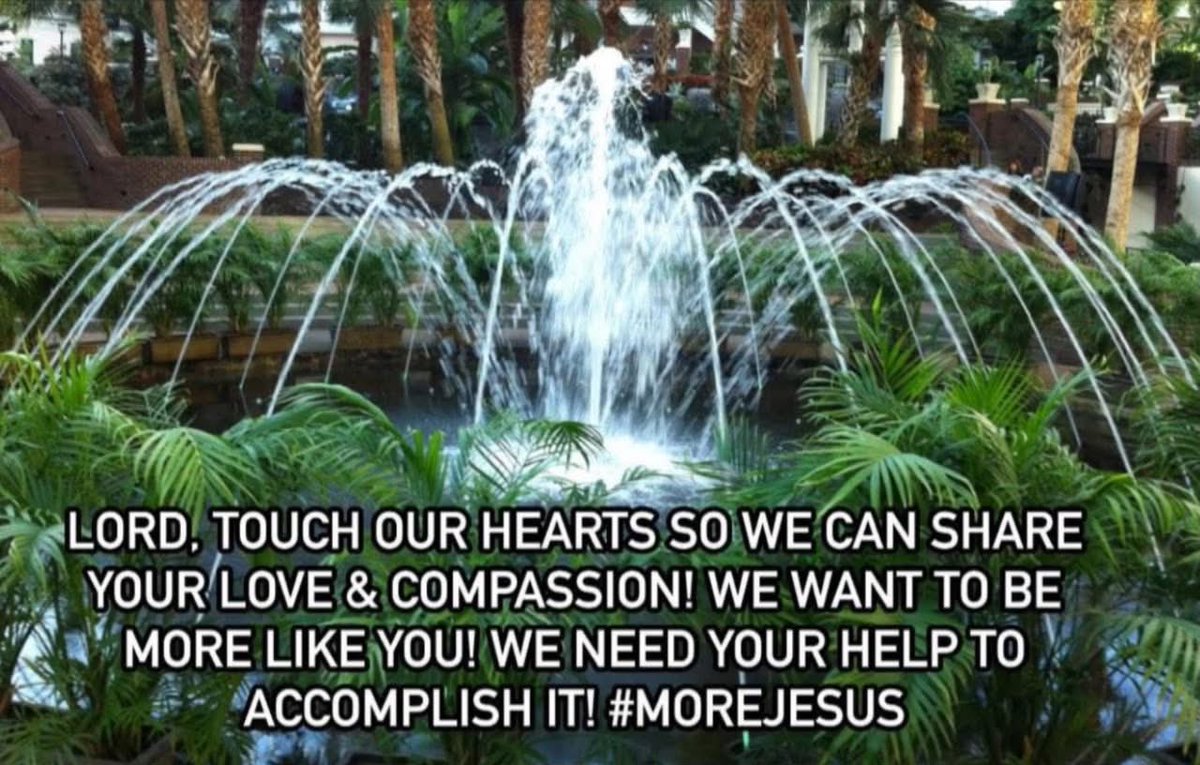 pcerPRTCL_Sol's tweet photo. #MOREJESUS https://t.co/ZCBBVySk0x