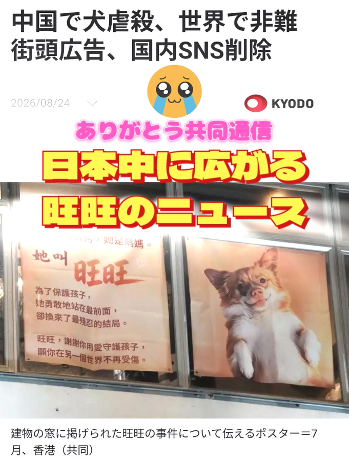 ESpeciesism's tweet photo. 日本中に一気に広がる旺旺ニュース！
共同通信社の力！！マジ凄い！！

#ワンワンに正義を
#JusticeForWangwang https://t.co/wBXWt73w6W