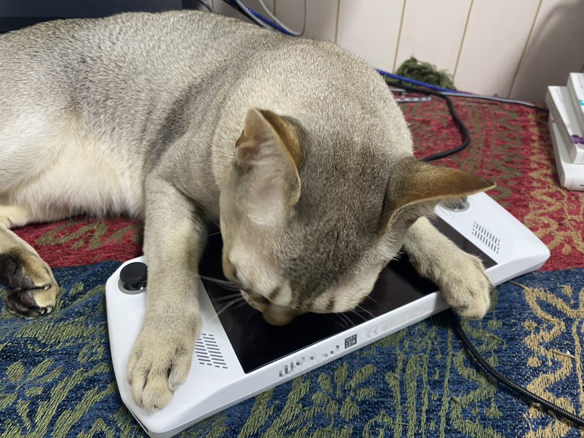 mozu_catnip's tweet photo. FF14環境
ROG Ally＋ワイヤレスキーボード＋有線コントローラー＋構ってほしくて妨害してくる猫……

#FF14初心者
#FF14フレンド募集 https://t.co/UTtlAv4Kxz