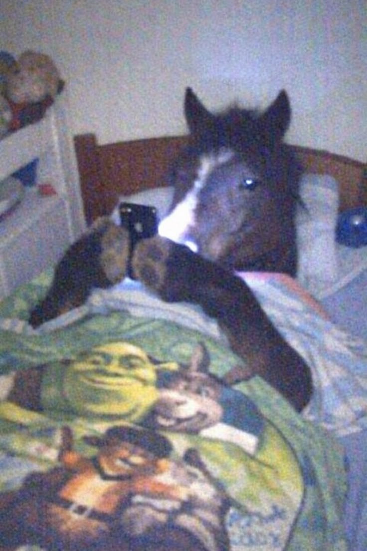 Maffyyyy4's tweet photo. Yo subiendo mis tuits a la 1am con lluvia y cero sueño https://t.co/8KRQjARgPF