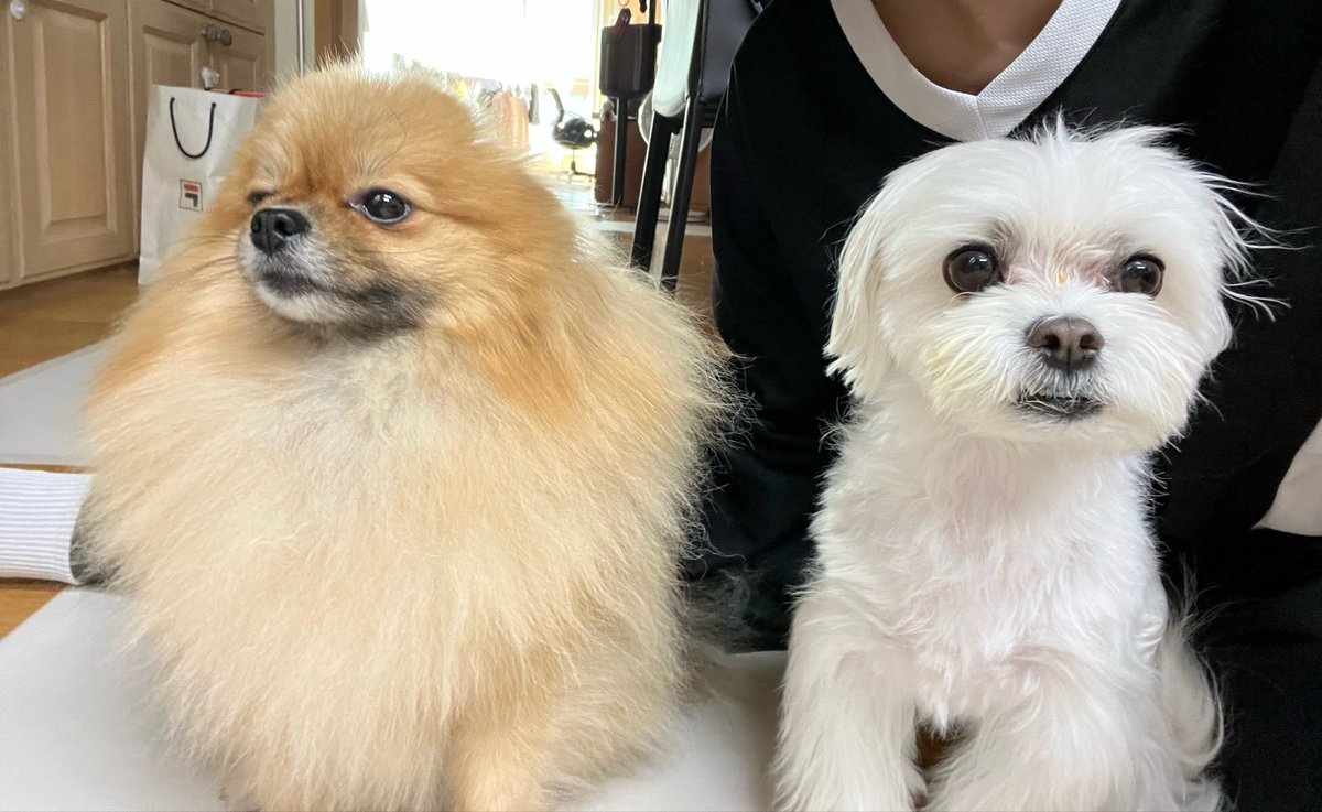 jjddomm's tweet photo. 라을라 https://t.co/TXQn2We46z