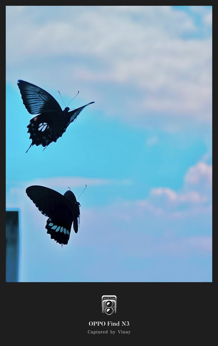 VinayKu64450906's tweet photo. Art in motion, resting for a second..🤌
#TwoHitsDifferent #ShotOnSnapdragon
Shot on #OPPOFindN3
#shotonOPPO
#InspirationAhead
#CalmingMoment
#BlissfulMorning
#SnapdragonInsiders
#MomentsThatMatters
#OPPOCommunity
#ButterflyBeauty
#MoodBooster
#MorningGlory https://t.co/uCvVQDbZrL