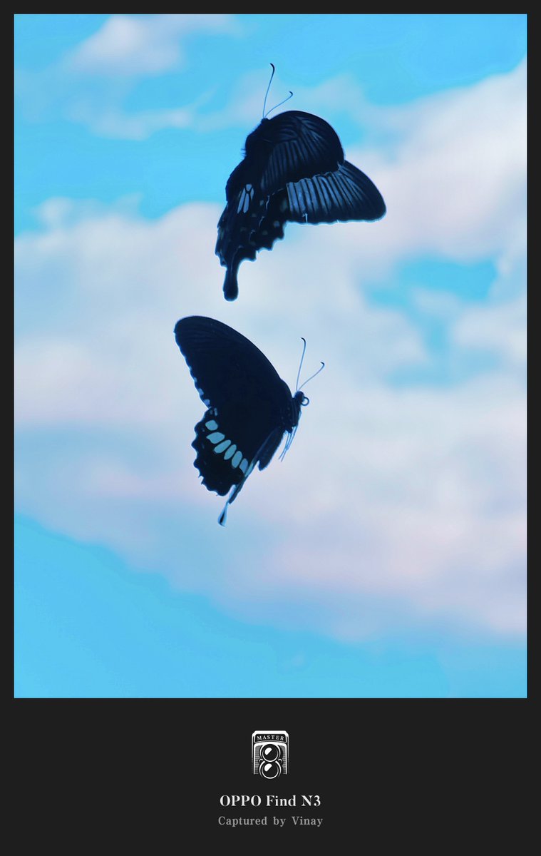 VinayKu64450906's tweet photo. Art in motion, resting for a second..🤌
#TwoHitsDifferent #ShotOnSnapdragon
Shot on #OPPOFindN3
#shotonOPPO
#InspirationAhead
#CalmingMoment
#BlissfulMorning
#SnapdragonInsiders
#MomentsThatMatters
#OPPOCommunity
#ButterflyBeauty
#MoodBooster
#MorningGlory https://t.co/uCvVQDbZrL
