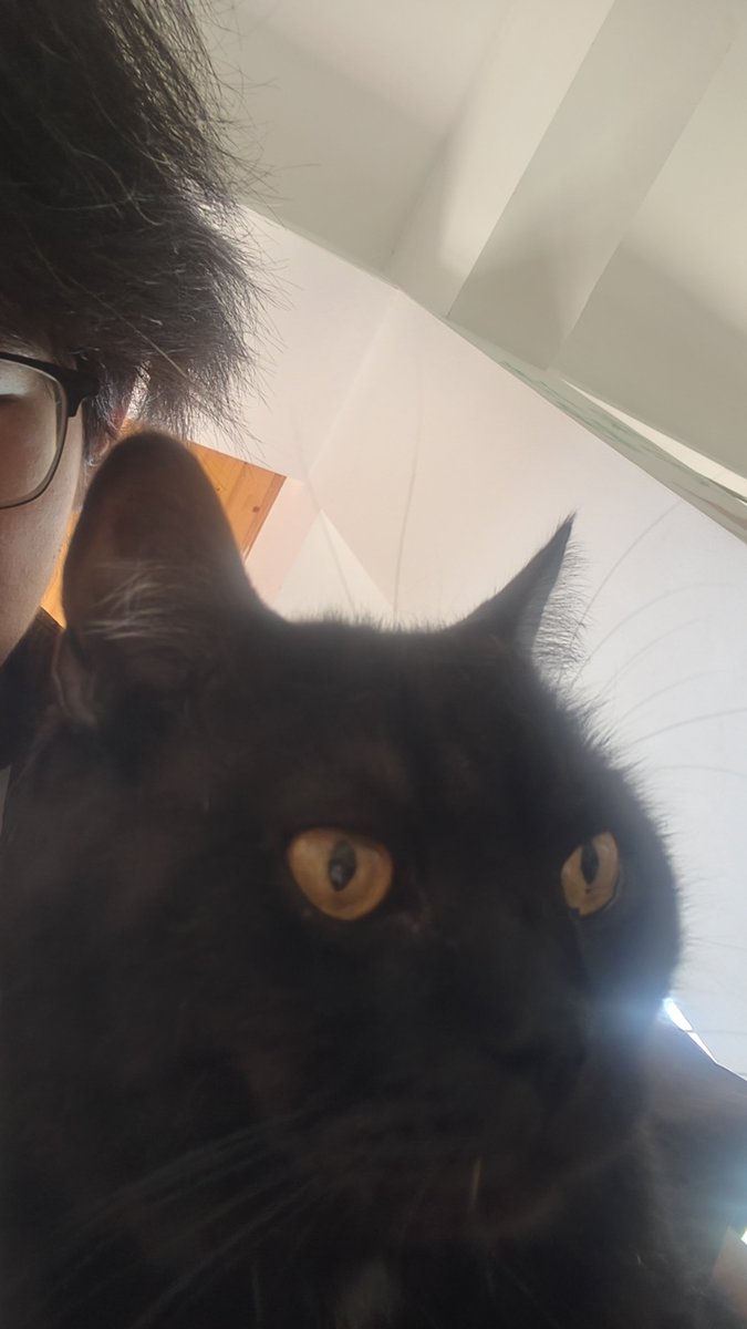 zlyo86's tweet photo. @keytailuni 我也有小黑猫😁😁😁 https://t.co/3KUcLRKpFG