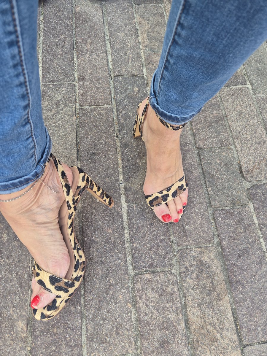 MinxeeMILF's tweet photo. These cougar heels are ready to be spoiled.
#feetworshi̇p #heels #cougar #leapordheels #highheelworship https://t.co/Yhs8unMVce