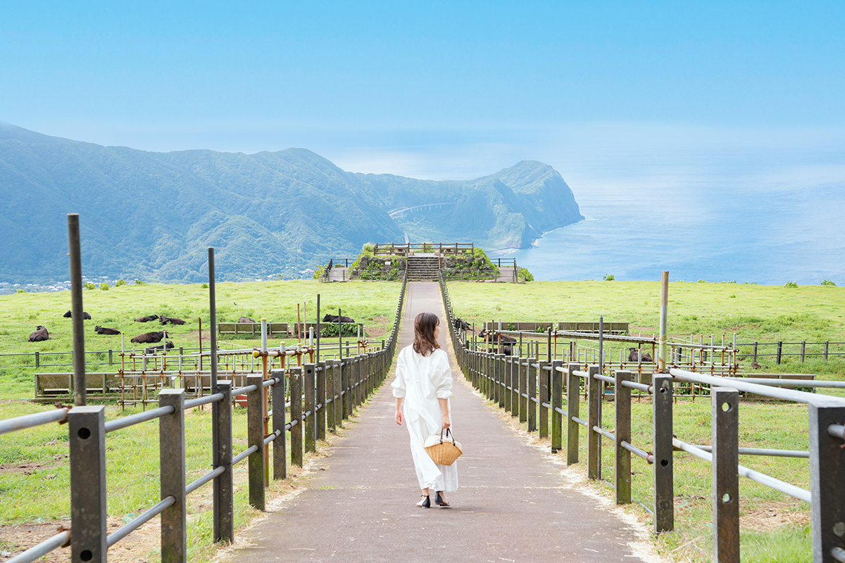 Go_Hachijo_JP's tweet photo. ／
八丈島へのお得な旅行割引クーポン
＼ 

9月23日～2月末日までの、航空券＋宿泊予約✈🏨、宿泊予約🏨で使える、おトクなクーポンをご用意✨

各社のサイトから順次クーポン発行がはじまっています🏝

▼八丈島への旅にお得な旅行クーポンご案内
https://t.co/Kzi4ggSwPf

#八丈島 #旅行 #クーポン https://t.co/1yGT0M8maw