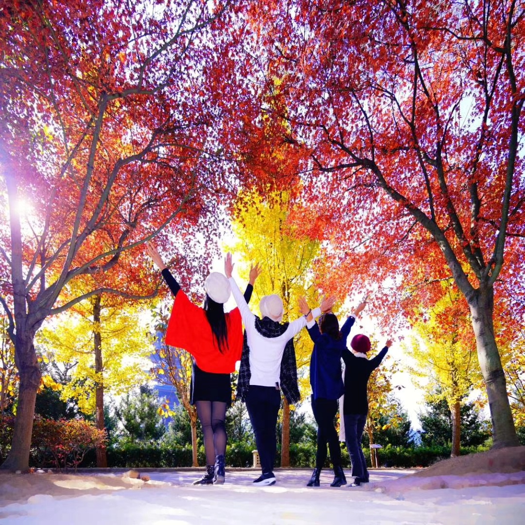 smsmskekwk's tweet photo. Campus Photography Club's monthly outdoor shoot is this Saturday 9AM at the West Lake! Bring your cameras u0026 capture stunning autumn vibes—free small souvenirs for all participants! Tag a friend who'd join!， https://t.co/s45vYGiC4k