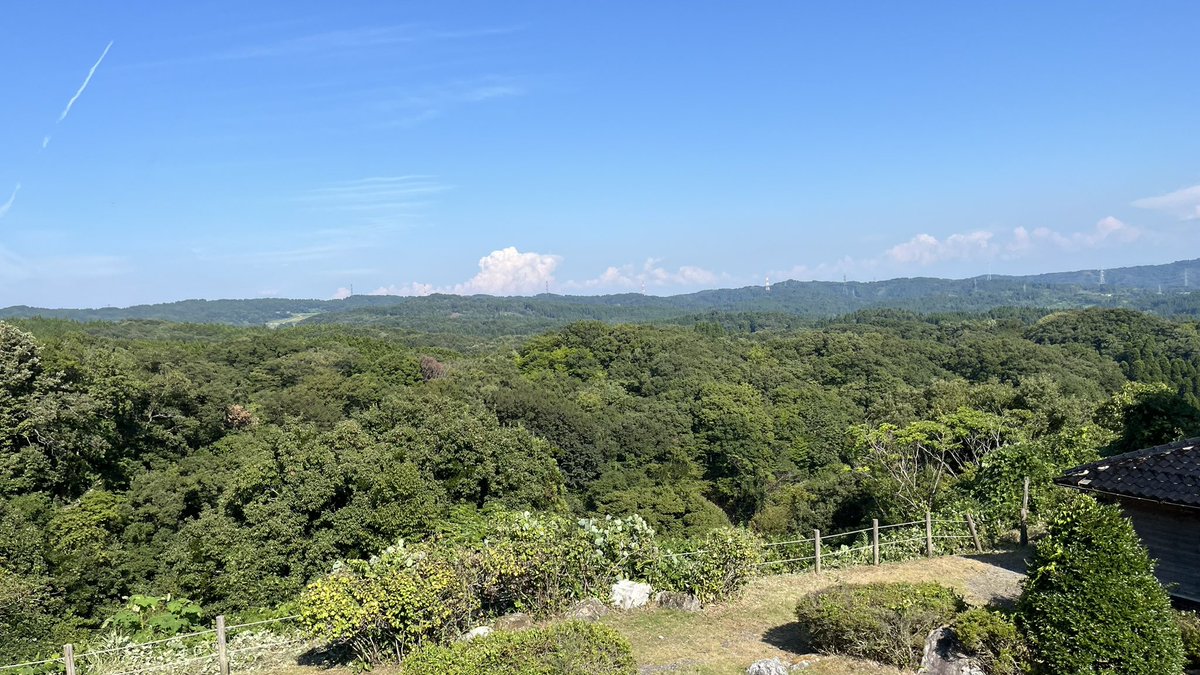 MX1054_J's tweet photo. 森林公園で歩いてた https://t.co/KOAWkrACQG