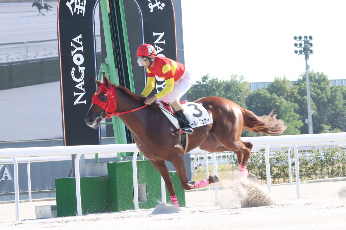758Keiba tweet picture