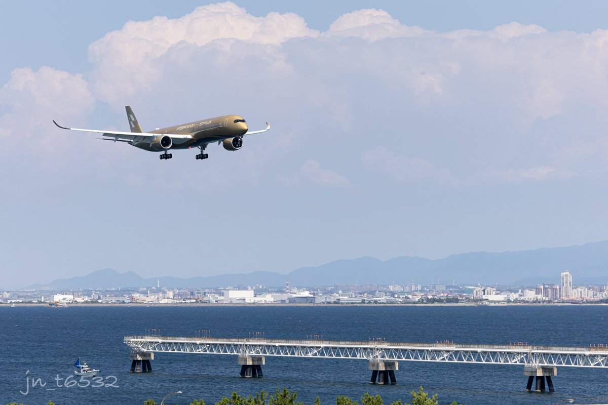 junpeko_ITM's tweet photo. STARLUX  ｜JX822
A350-1041 B-58554 
Airsorayama Gold Livery

RJBB  2026/8/24 https://t.co/wBL8zoBngx