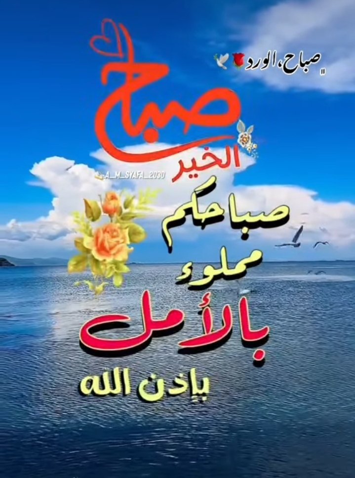 sar__224's tweet photo. صباح الورد لمن يسكنون القلب
لمن يسكبون عطرهم في حنايا الروح ٠٠
لمن يزهرون كالربيع فى كل صباحاتى٠٠
ولايشرق صباحي ويزهر إلا بوجودهم. 
صباح مشرق بالأمل والتفاؤل كنور الشمس الساطع
صباح السعادة والمحبة الصادقة https://t.co/DoYQLdhWKJ