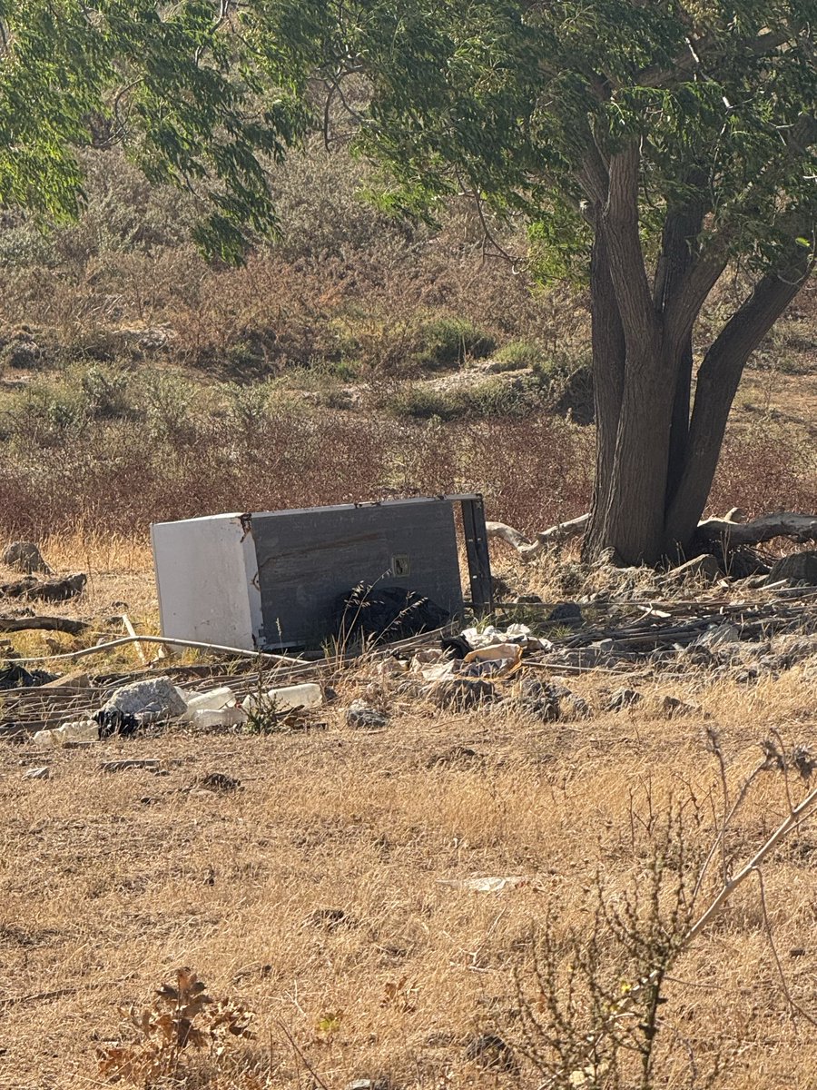 pablosfc98's tweet photo. Entorno del nuevo cauce del Río Guadaira a la altura de palmas altas/isla natura. Un entorno de altísimo valor ecológico y que lo venden como corredor verde y más bien es “vertedero verde”. Se suma la mala educación y la inacción de las entidades.
@chguadalquivir @Ayto_Sevilla https://t.co/oCFp8WTa70