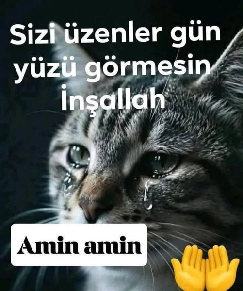 semakorcan's tweet photo. https://t.co/lVcMOsmQ3b