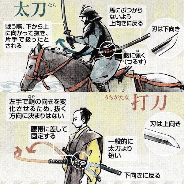 8wa16's tweet photo. 太刀と打刀の違い。 https://t.co/KWxvjAIvf8