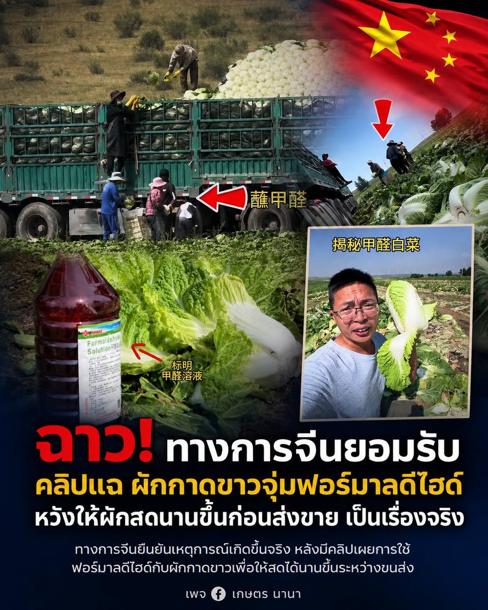 wzeroz's tweet photo. เชี้ย!!! แล้วประเทศไทยนำเข้าผักผลไม้จากจีนปีๆนึงเป็นล้านตัน จะบ้าตายสภาพ รัฐบาลไทยควรจริงจังกับของนำเข้าจากจีนได้ยังเข็มงวดแบบที่จีนเข้มงวดกับสินค้าไทยบ้างทุกวันนี้มีแต่อะไรไม่รู้ https://t.co/tRNUIDDSmv