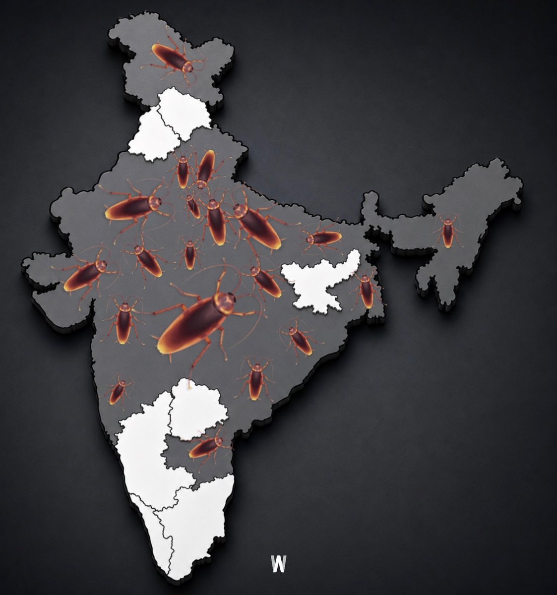 wokeflix's tweet photo. CJP and its network in India. https://t.co/fNsYJV9q8h
