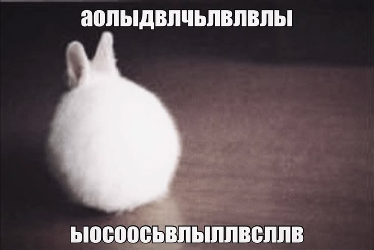 weeelka's tweet photo. где мои 100 пипищиков https://t.co/lzn3KsLw6z