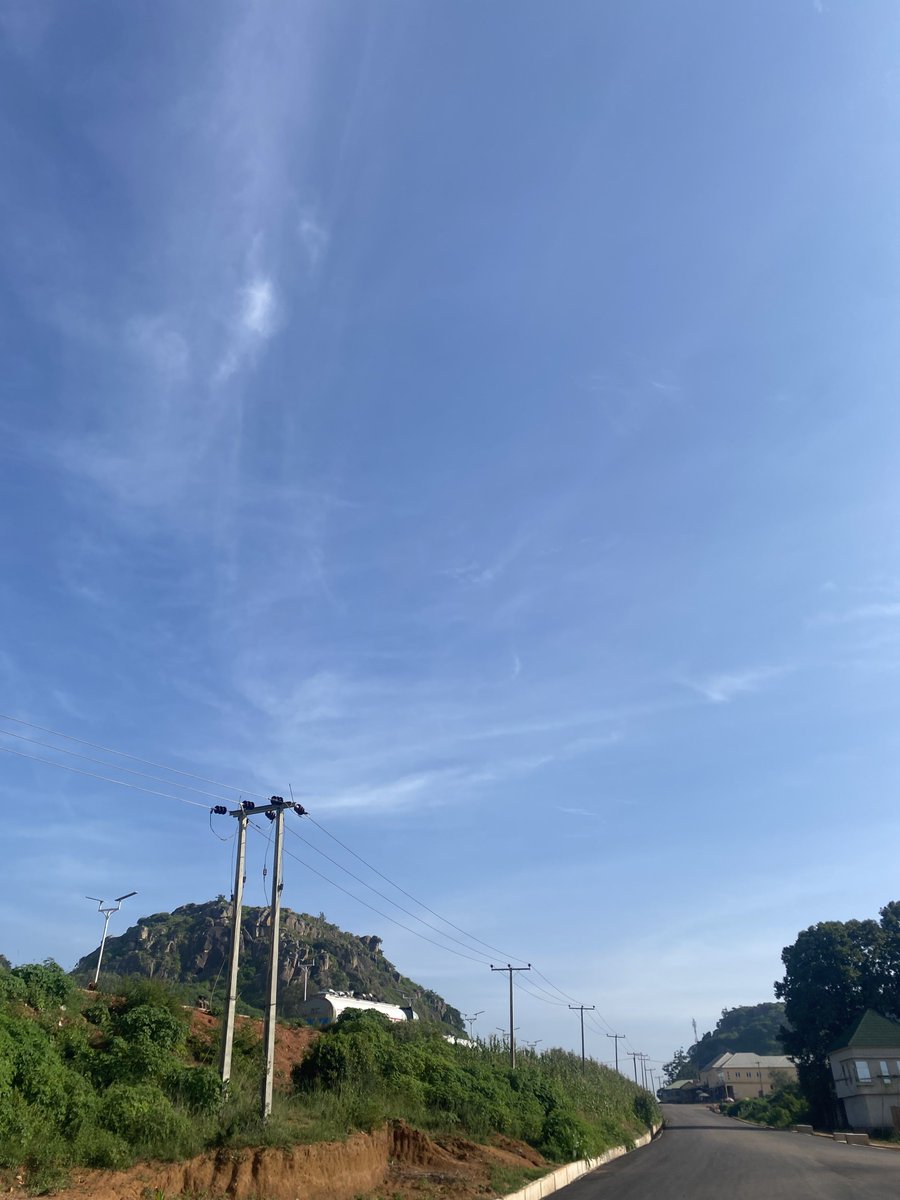 Tex__al's tweet photo. What a beautiful day, what about you? https://t.co/bf8s5FzngO