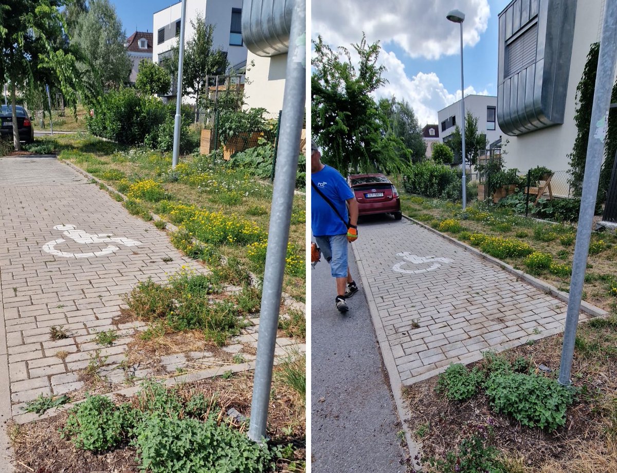 zastupitel's tweet photo. 👷♂️letní #udrzba #dablice📷 https://t.co/oGO2Iffjwb