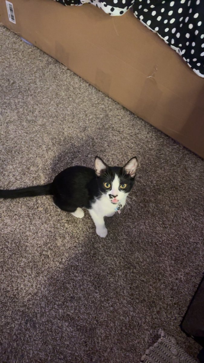 tacohellll's tweet photo. thank you to whoever years ago suggested bucket as a pet name bc guys meet bucket https://t.co/v8VlSNAxzS