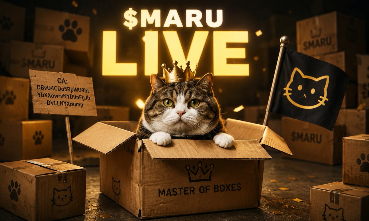 MaruBoxCat's tweet photo. $MARU is officially LIVE on Solana. 📦🐱

The Master Of Boxes has entered a new box.

CA: DBvU4CDo5RpWU9htYbXXowrvNYD9nFgJbDVLLNYXpump

Enter the box. Join $MARU.

#MARU #Solana #Memecoin https://t.co/wnxyR0q3lS