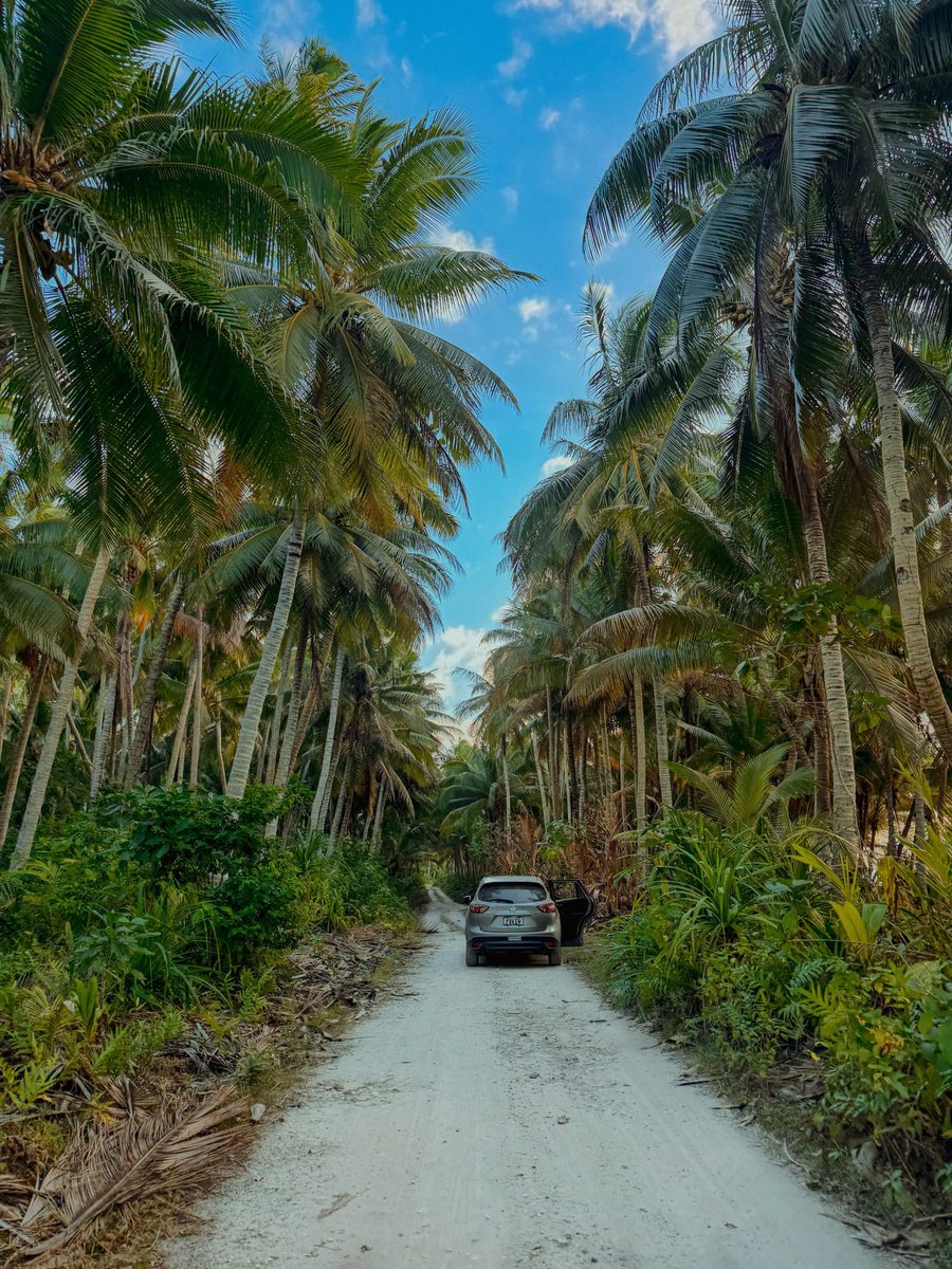 RepPlusUK's tweet photo. Lost in the magic of Falealupo 🌴🌿🌊

Under the trees, where the days move a little slower, the breeze is softer, and life unfolds at its own pace. Just you, the sand beneath your feet, and the quiet beauty of Falealupo 

#DiscoverBeautiful #BeautifulSamoa #RepPlusClient https://t.co/Y5howpf7rr