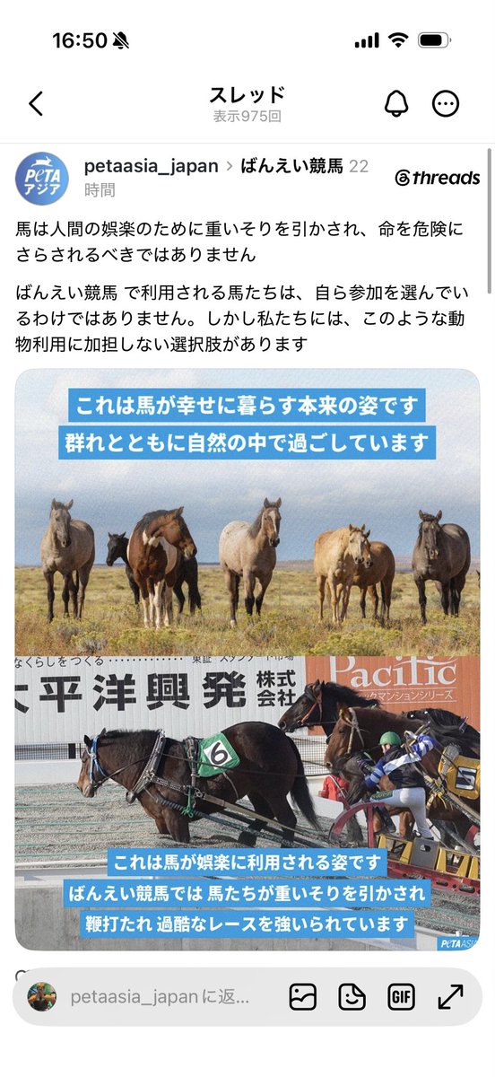 akira_1111car's tweet photo. 写真の輓馬〜ばんえい競馬で走る馬は、重い荷物やソリを引く為に人間により品種改良された馬です
ばんえい競馬で走らなければ屠畜され、人間の食すお肉にされる品種の馬です。

ばんえい競馬は虐待ではありません！
携わる人達は皆、馬達に愛情を持ち寄り添い、適切な飼育飼養をされています。

馬に野生はいません！人と共に生きる動物、仕事を与えてもらえるから生きていける動物〜それが馬です。
野生化すれば馬は滅びます。

馬の適切な知識が無い方を洗脳する様な、この様な投稿に憤りを感じます。